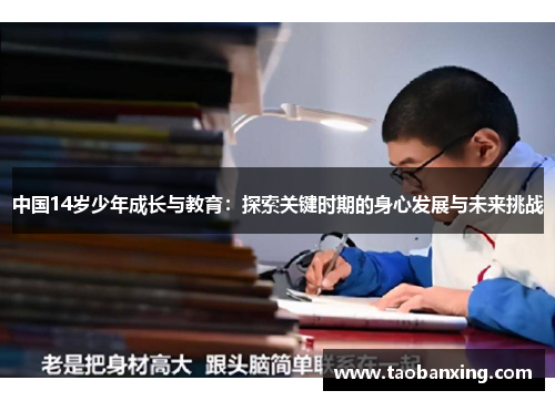 中国14岁少年成长与教育：探索关键时期的身心发展与未来挑战