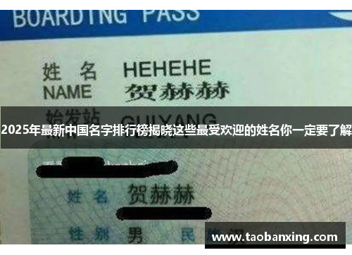 2025年最新中国名字排行榜揭晓这些最受欢迎的姓名你一定要了解