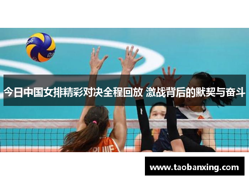 今日中国女排精彩对决全程回放 激战背后的默契与奋斗