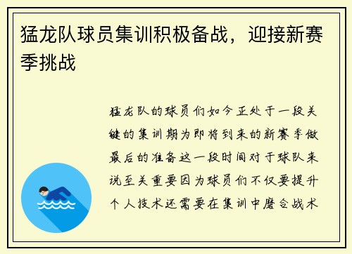 猛龙队球员集训积极备战，迎接新赛季挑战